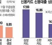 금리 급등 여파 중·저신용자 카드·캐피탈 신용 대출 급감