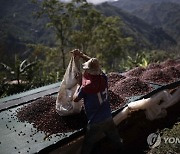 COSTA RICA PHOTO SET COFFEE