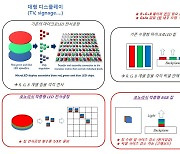 "적·녹·청 하나로"…루멘스 'RGB 원칩' 모노리식 마이크로 LED 개발