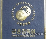 정부, '금융감독원' 공공기관 지정 여부 논의