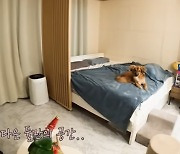 윤남기♥이다은 신혼집, "연예인들만 있다는" 드레스룸→안방에 금고까지(남다리맥)