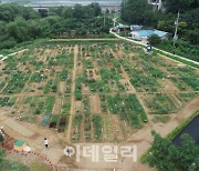 용인시 공세동 시민농장 800팀 모집