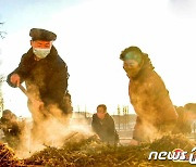 북한, 농업 성과 독려…"생산 안정적으로 늘려야"