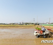 경기도 ‘친환경 벼 복합생태농업 실천단지’ 19곳 조성
