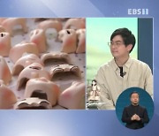 <뉴스브릿지> K-스톱모션 애니메이션의 부활…박재범 감독을 만나다