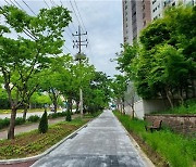 광주광역시, 올해 도시숲 38곳 조성