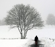[방민준의 골프세상] '나무의 겨울눈'이 골퍼에게 던지는 메시지