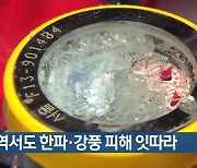 대구·경북서도 한파·강풍 피해 잇따라