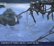경남 역대급 한파 ‘꽁꽁’…동파·강풍 피해 잇따라