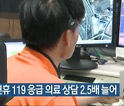 전북 설 연휴 119 응급 의료 상담 2.5배 늘어