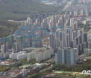 "새집 들어가자마자 -5억원"…개포 입주권도 급매로 팔려