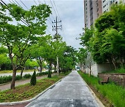 광주광역시, 도시숲 38곳 조성한다