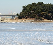 한파 절정 인천, 갯벌도 ‘꽁꽁’