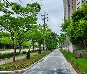 “초록이 넘치는 광주” 광주광역시 도시숲 38곳 조성