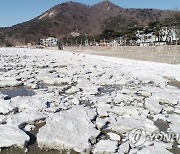 전국 최강한파, 얼어붙은 동막해수욕장 앞바다