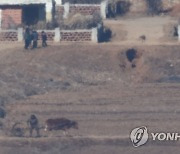 일터로 이동하는 북한 주민들