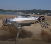 [D:이슈] 모래밭도 거침없이 달린다…사족보행 로봇 '라이보' 등장