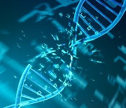 손상된 DNA 복구하는 새 단백질 발견