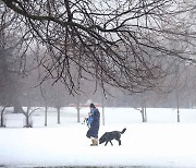 눈 덮인 美 시카고서 개 산책시키는 시민