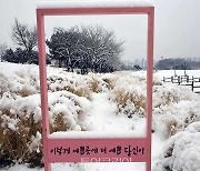 고즈넉한 시흥시 갯골생태공원 '설경'