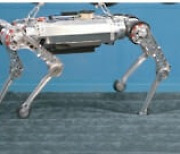 발 푹푹 빠지는 모래사장 거침없이 달리는 사족로봇