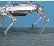 모래서도 안정적 보행 가능한 로봇 제어 기술 개발