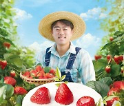 SPC, 논산 딸기 농가 지원 "3년째 상생"