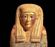 2300년된 이집트 미라,  발굴 100년 만에 드러난 '황금' 정체
