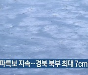 한파특보 지속…경북 북부 최대 7cm 눈