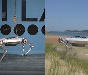 '모래사장에서도 속보'…카이스트, 로봇 '라이보' 개발
