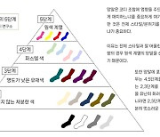 양말 뭐 신지? 매일 고민하는 당신에게 [스타일 꼬치꼬치]