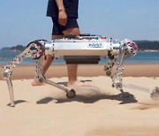 사람도 걷기 힘든 곳 달리는 로봇…국내 연구진 일냈다