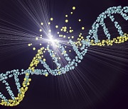 ‘손상된 DNA 복구·세포의 방어시스템에 관여’ 새 단백질 발견