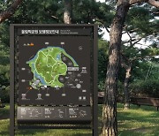 갈림길 많은 서울 공원 길 찾기 쉬원진다