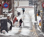 눈 내린 골목길 '조심조심'