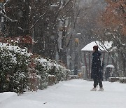 서울에 내리는 눈