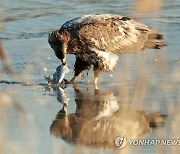 오늘은 배부른 하루