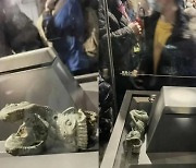 中박물관 고대 청동유물, 관람객 몸싸움에 진열대서 '털썩'