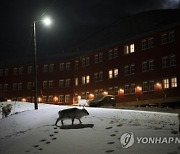 Norwegian Arctic Lighting the Darkness