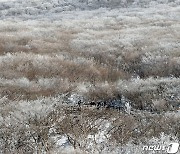 [오늘의 날씨] 제주(27일, 금)…낮 최고 5도, 산지에 눈