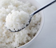 ‘밥심’으로 산다더니…지난해 쌀 소비량 56.7㎏ 역대 최저