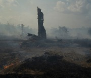 아마존, 산불·가뭄으로 황폐화…벌채와 맞먹는 탄소 ‘펑펑’