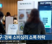 이달 대구·경북 소비심리 소폭 하락