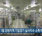 1월 강원지역 기업경기 실사지수 소폭 하락