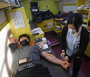헌혈하는 대구시교육청 직원들