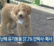 충북 지난해 유기동물 37.7% 안락사·폐사