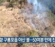 포항 구룡포읍 야산 불…50여 분 만에 진화