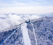 Gangwon offers fun, exciting winter activities