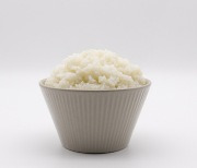 밥 안 먹는 한국인… 지난해 1인당 쌀 소비량 '역대 최소'