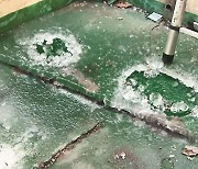 수도 동파에 빙판이 된 주차장…주말 덮친 '북극한파'